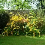 Domaine De Lamartine Bed & Breakfast *