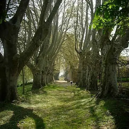 Domaine De Lamartine * Pont-Saint-Esprit