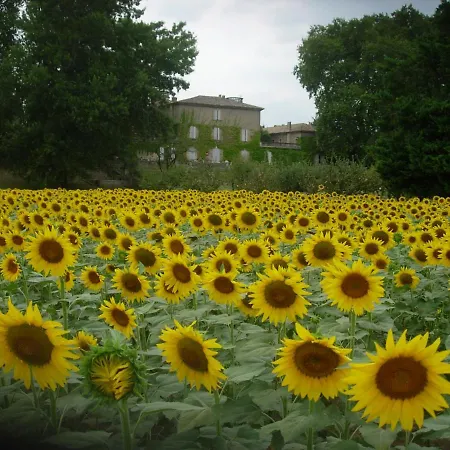 Domaine De Lamartine *