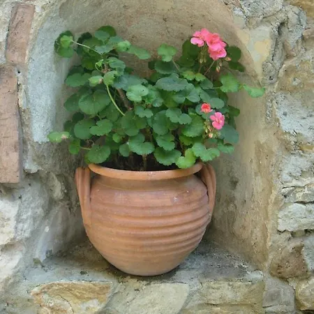 Domaine De Lamartine * פונט-סנט-אספריט