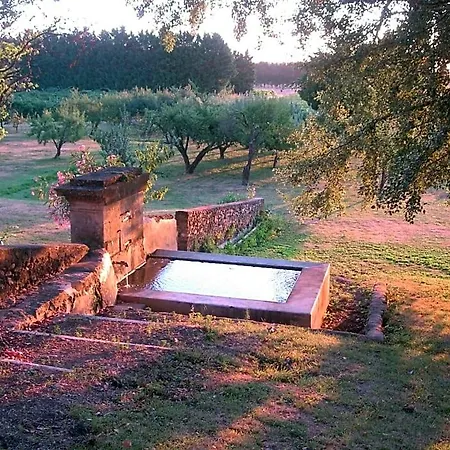 Domaine De Lamartine *