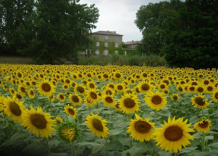 Domaine De Lamartine *