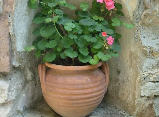 Domaine De Lamartine * Pont-Saint-Esprit